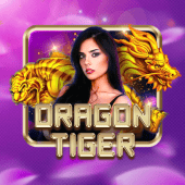 Dragon Tiger table game casino live casino